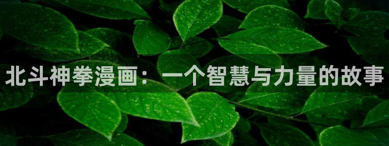 汗汗漫画弱点：北斗神拳漫画：一个智慧与力量的故事