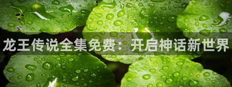 汗汗漫画免费登录页面看漫画下拉式：龙王传说全集免费：开启神话新世界