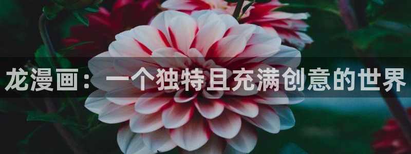 汗汗漫画日本的：龙漫画：一个独特且充满创意的世界