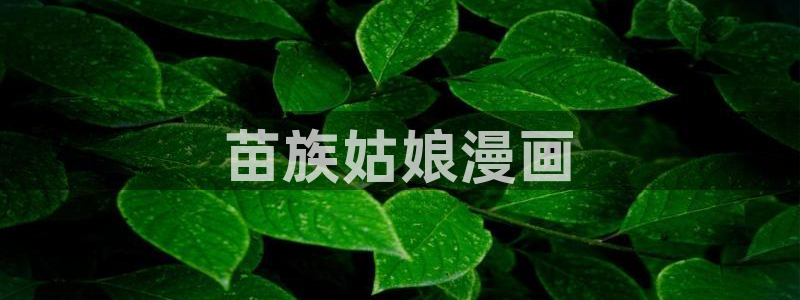 韩漫汗汗漫画网：苗族姑娘漫画