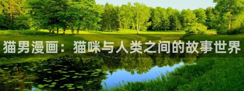 刀剑神域汗汗漫画：猫男漫画：猫咪与人类之间的故事世界